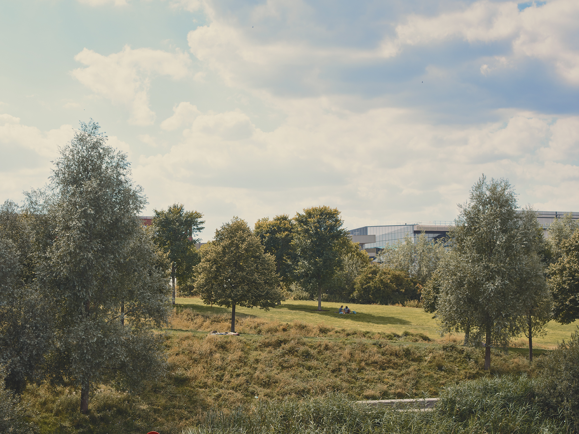 Hackney Marshes