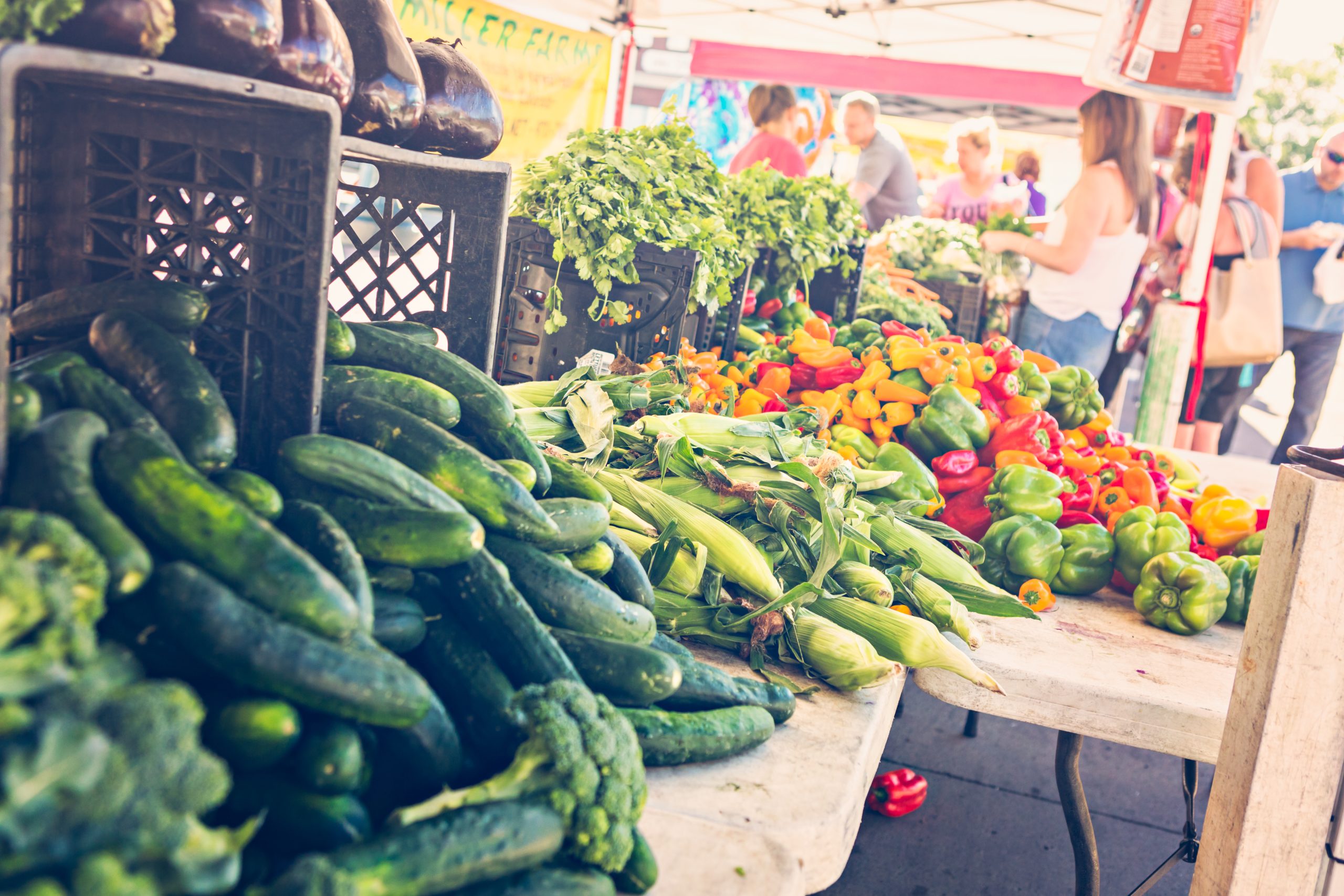 Leytonstone Farmer’s Market